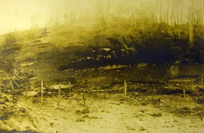 Eastern front landscape, summer 1916